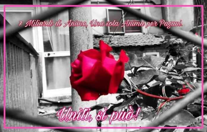 FB_IMG_1582362098776