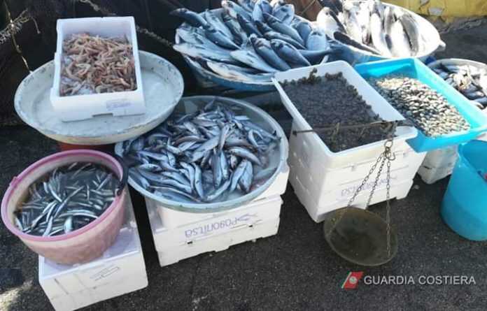 FB_IMG_1582730122307