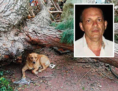 Gioacchino-Mollo-travolto-da-albero-a-Cava-cane