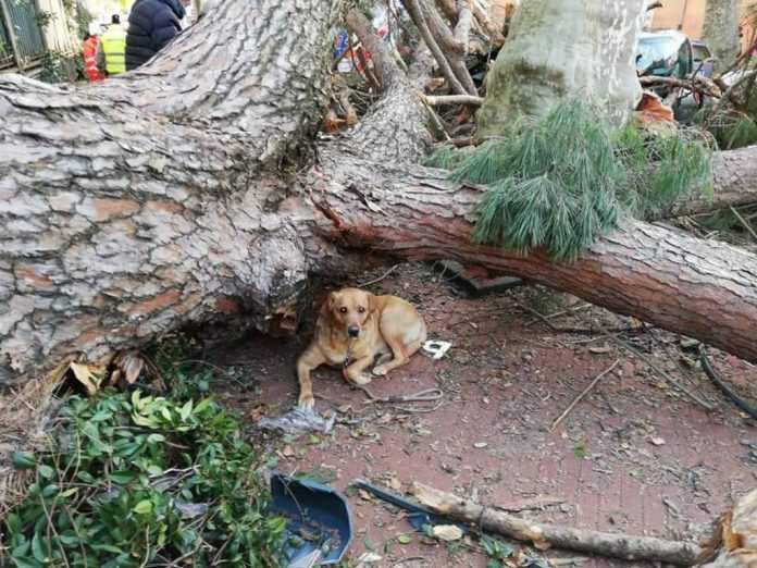 album-di-default-3273826.1024x768