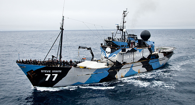 sea-shepherd-vessel-steve-irwin-heads-out-to-intercept-japanese-whalers