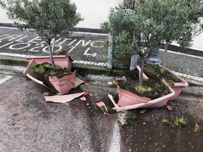 89435873_10218277197535769_6814942956387041280_n