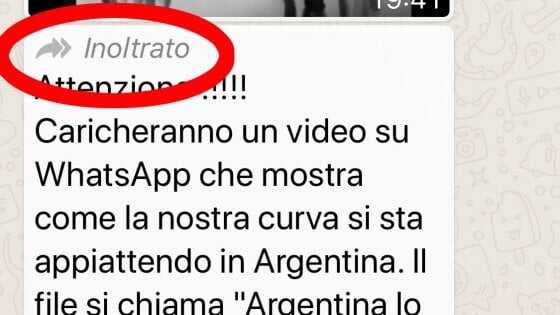 115401889-d91a71f1-4b7c-4b29-bd84-b25606d1b8bd