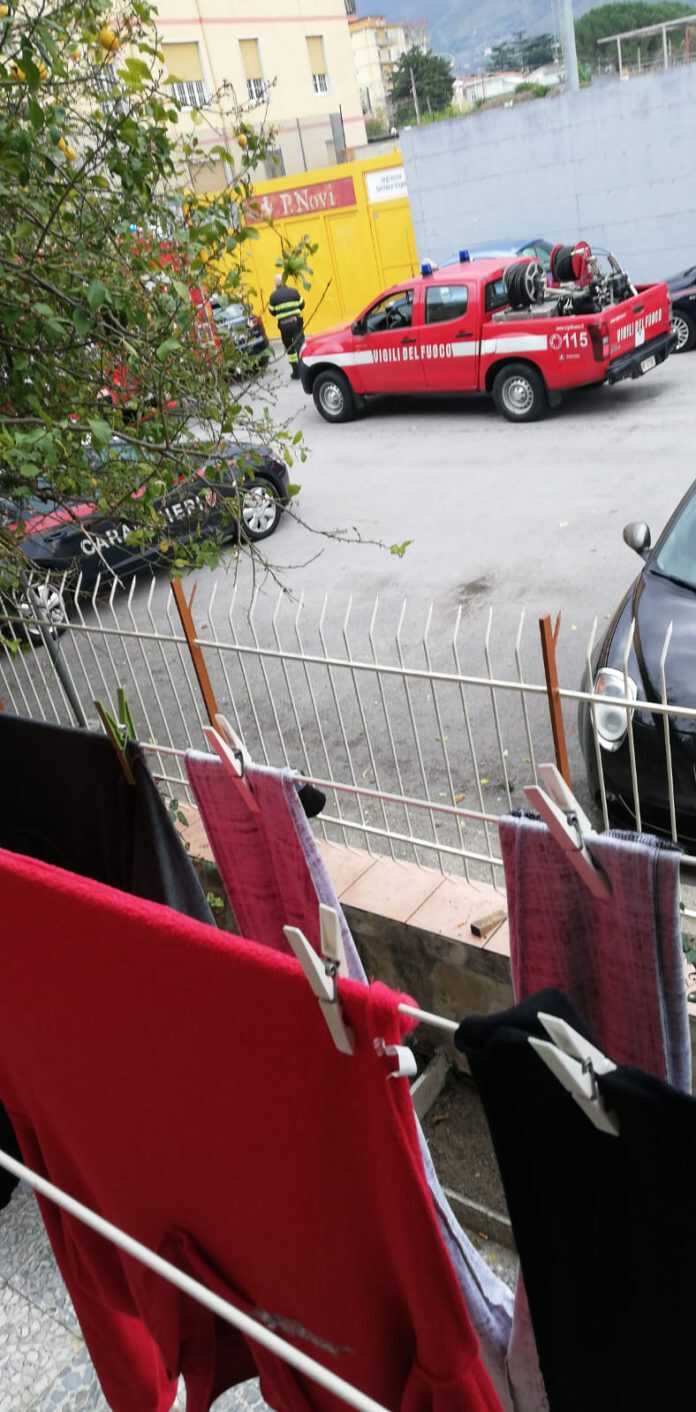 2290093d-0f3c-4e52-9519-97e8b3e93021