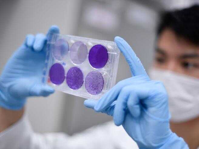 317.0.2197130211-kmzG-U318034915584N8D-656x492@Corriere-Web-Milano