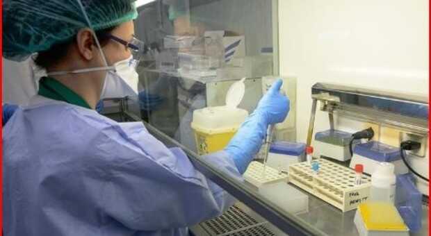 Coronavirus – Una possibile svolta – arriva da un nuovo test sviluppato dagli scienziati del Pentagono