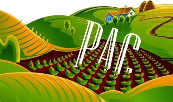 Programma di Azione e Coesione (PAC) – per Basilicata Calabria Campania e Puglia