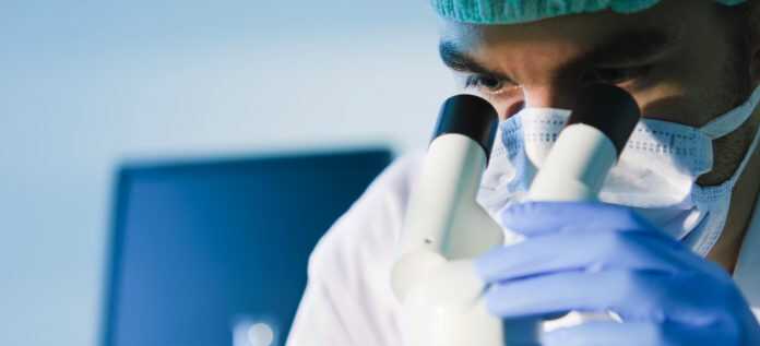 C_17_notizie_4805_immagineEvidenza