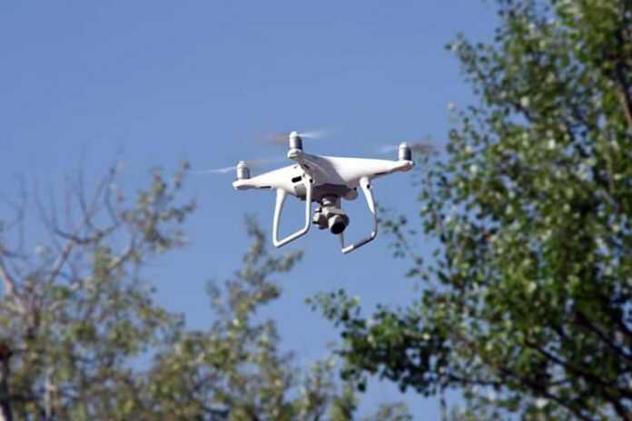 FB_IMG_1589281780776