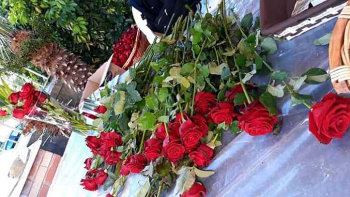 FB_IMG_1590169164259