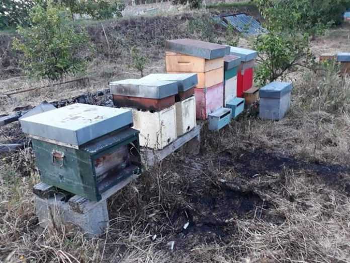 FB_IMG_1590524649500