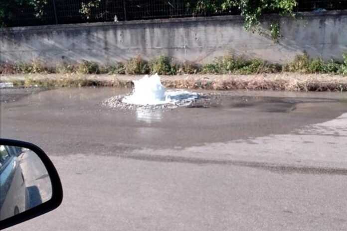 IMG_20200509_102915 (1)