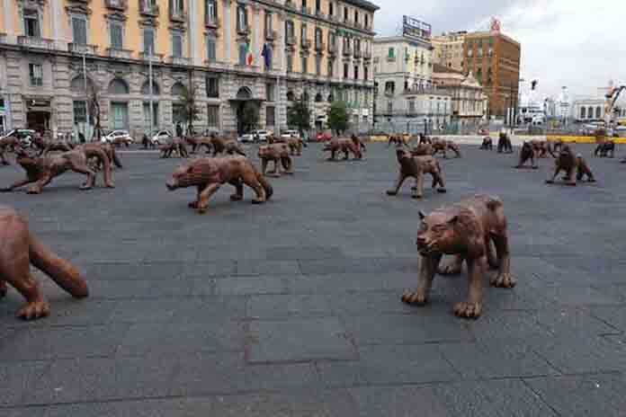 Napoli - lupi di ferro