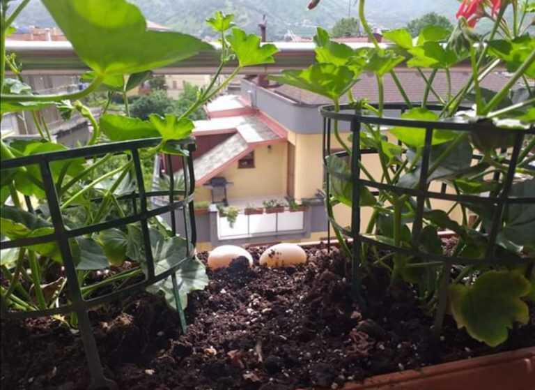 Baronissi – Nuove speranze di un nuovo inizio dopo il lockdown