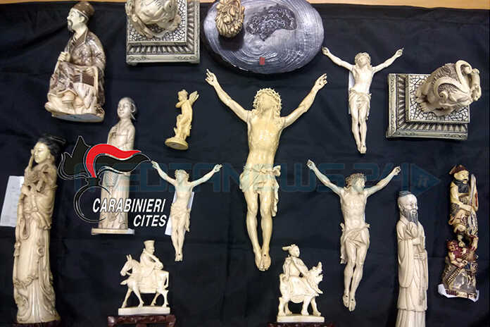 Torre del Greco - Avorio sequestrato