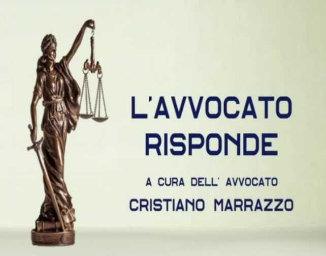 avvocato
