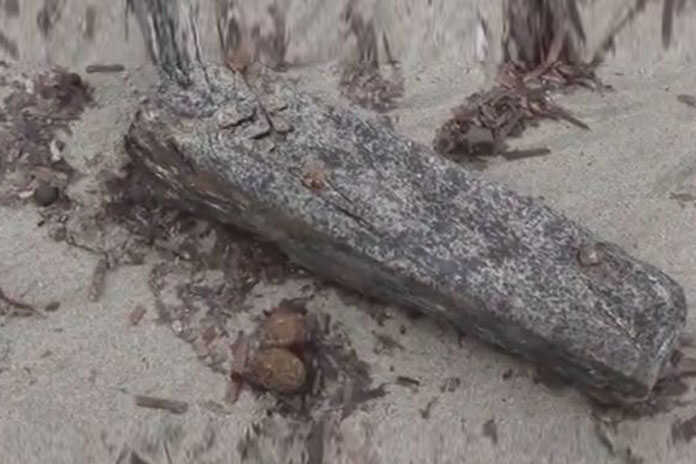 Agropoli – Il mare riporta sulla spiaggia pezzo di legno della “Cocca” genovese