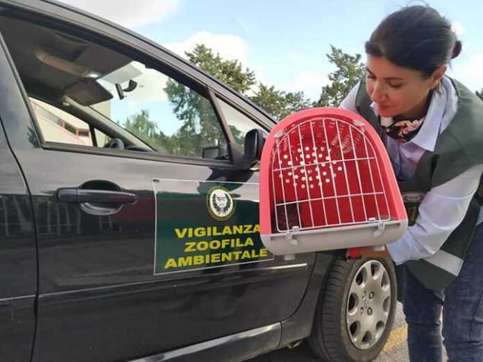 FB_IMG_1591941478110