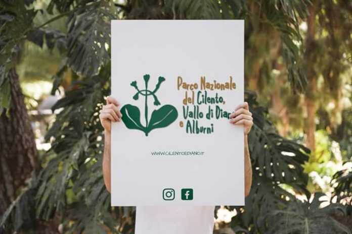 FB_IMG_1593527061568