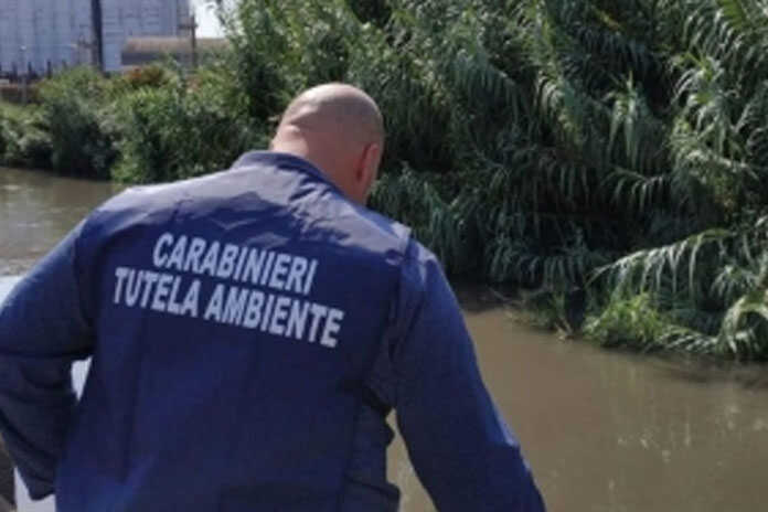 Blitz nei Comuni da parte del Noe, il report parla di “Contaminazione fecale nel fiume Sarno”
