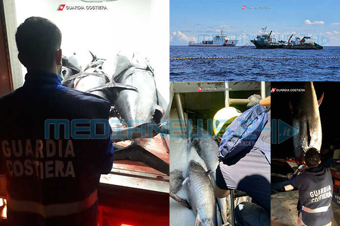 Guardia Costiera – Vasta operazione nel Mar Tirreno sulla pesca illegale – Il rapporto
