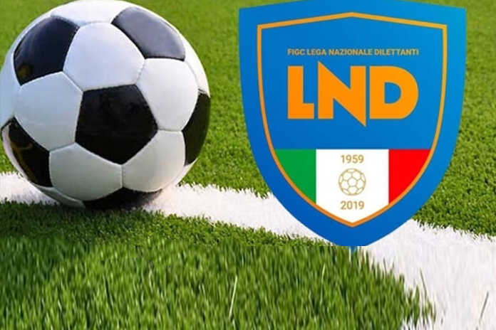 Sport / Lnd, niente algoritmo: ecco i criteri delle classifiche 2019/20