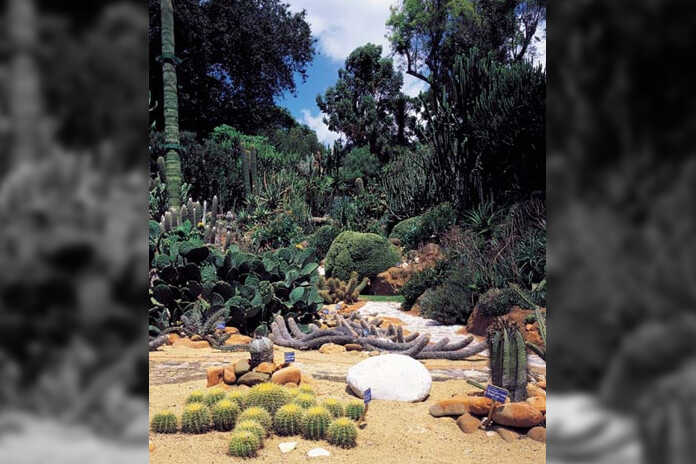 Napoli – Il Real orto Botanico riaperto al pubblico