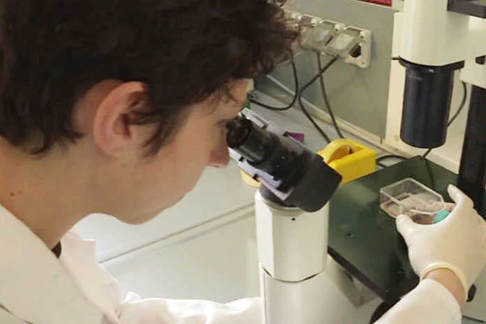 Covid-19 – Tre scienziati Italiani stanno esplorando per trovare “il tallone d’Achille”del COVID