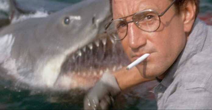 lo-squalo-jaws-1975-steven-spielberg-04