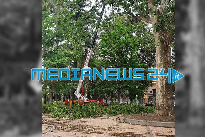 Angri – Restyling e messa in sicurezza degli alberi in villa comunale