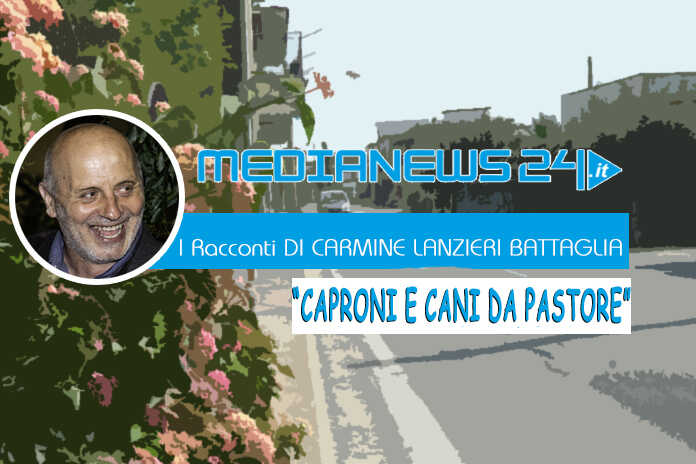 L’editoriale – I Racconti di Carmine Lanzieri Battaglia, “CAPRONI E CANI DA PASTORE”