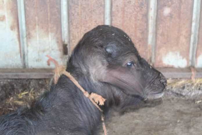 FB_IMG_1594664558996