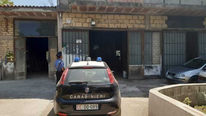 San Giuseppe Vesuviano –  Controlli dei carabinieri per il contrasto dei reati ambientali, 3 denunce