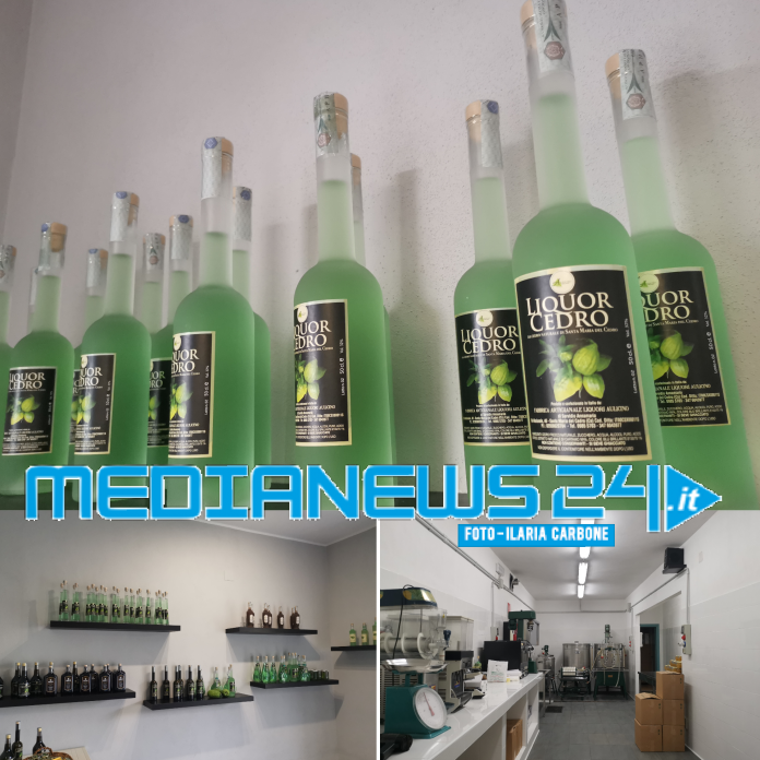 Adobe_20200809_210759