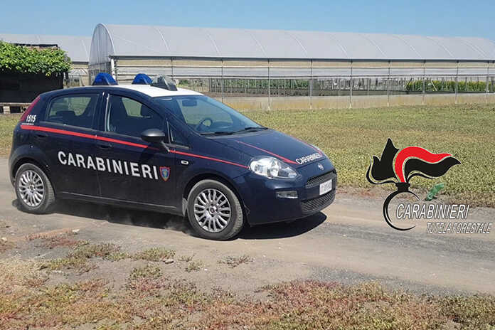 Poggiomarino – Prodotti chimici illegali in una azienda agricola: denunciate due persone
