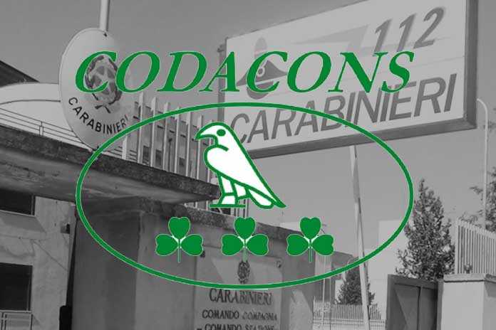 Stazioni carabinieri, Codacons scrive al ministro Difesa: “Va cambiata gestione”