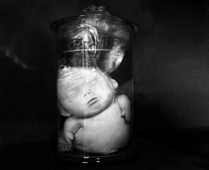 FB_IMG_1597849830075