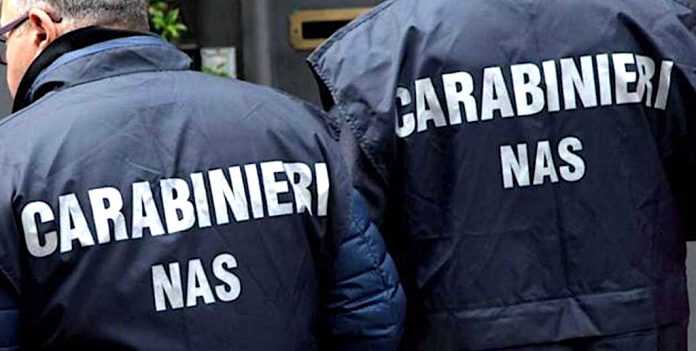 Vico Equense – Carabinieri chiudono osteria per gravi carenze igieniche e strutturali. sequestrati oltre 200 chili di alimenti