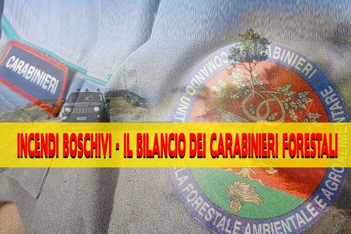 Campania / Oltre 236 Incendi boschivi – Il bilancio dei Carabinieri Forestali