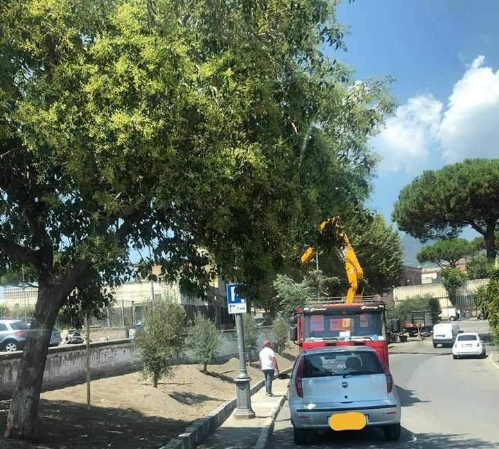 Boscoreale. Vandali a Piazza Vargas, ma i lavori al verde proseguono