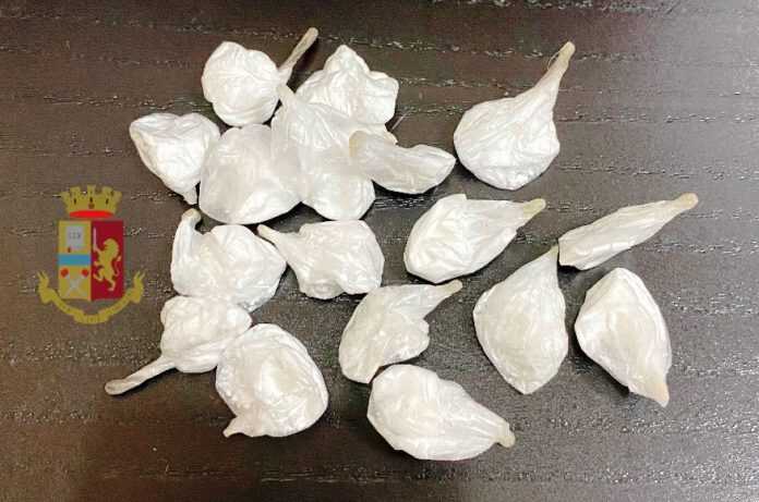 secondigliano_droga_logo_2