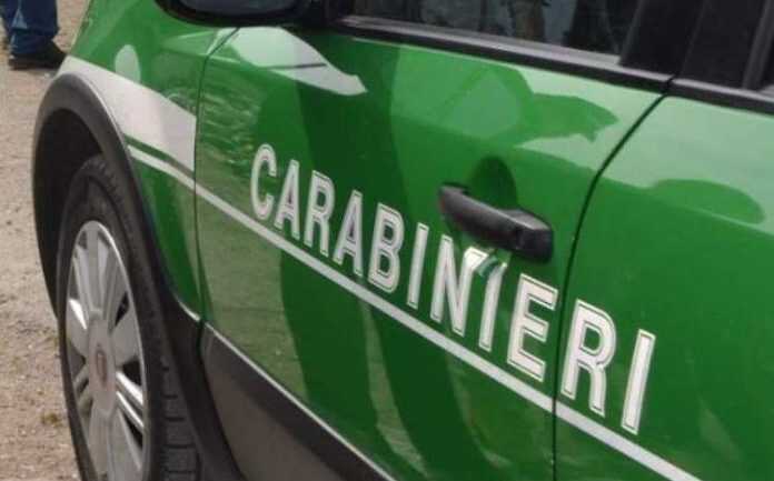 Striano – Controlli dei carabinieri, il N.I.P.A.A.F. sequestra un opificio