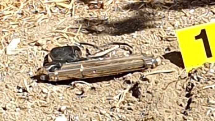 Portici – Due uomini arrestati per porto di armi, violenza, minaccia e resistenza a Pubblico Ufficiale.