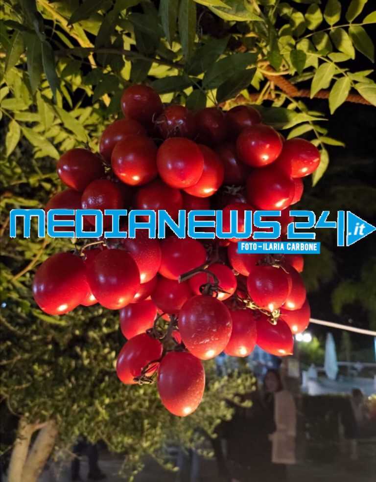 Pagani – Masseria Adelaide – Grande successo per il Festival del Corbarino