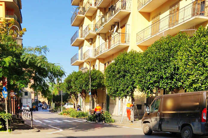 Nocera Superiore – Cuofano detta i tempi sulla cura annuale del verde cittadino