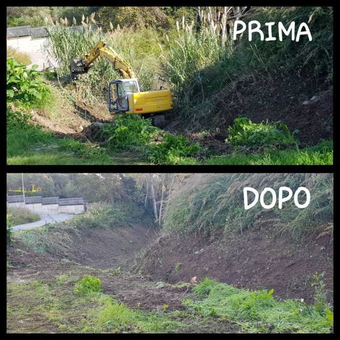 123365679_10158906703574516_7771827093609052921_o