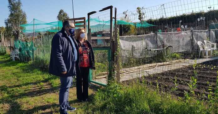 125817490_10158955995064516_1391584721434609894_o