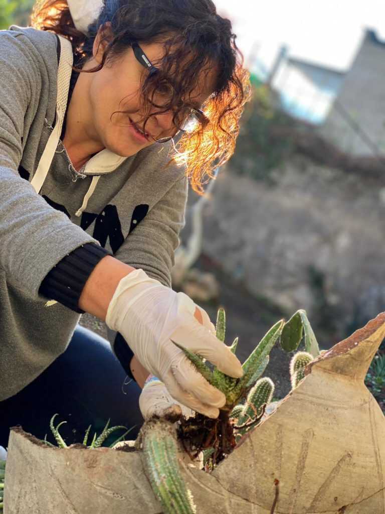 Palma Campania: l'associazione Naturae lancia il concorso Ricicla Naturiamoci