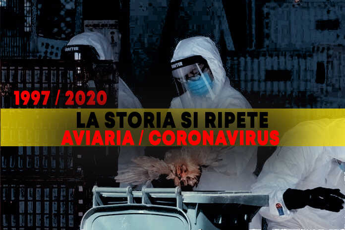 Pillole di storia – Accade oggi; 1997/2020 – Hong Kong: abbattuti un milione di polli a causa dell’aviaria
