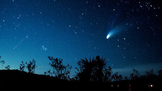Cometa di Halley